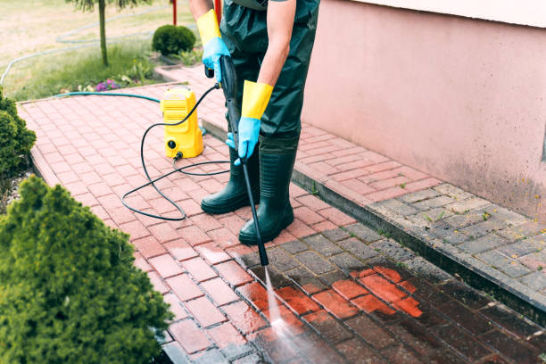 Best Paint Preparation  in Warrenvle, IL